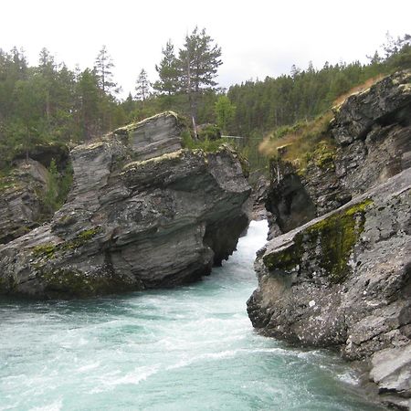 Jotunheimen Feriesenter Villa Heidal Dış mekan fotoğraf