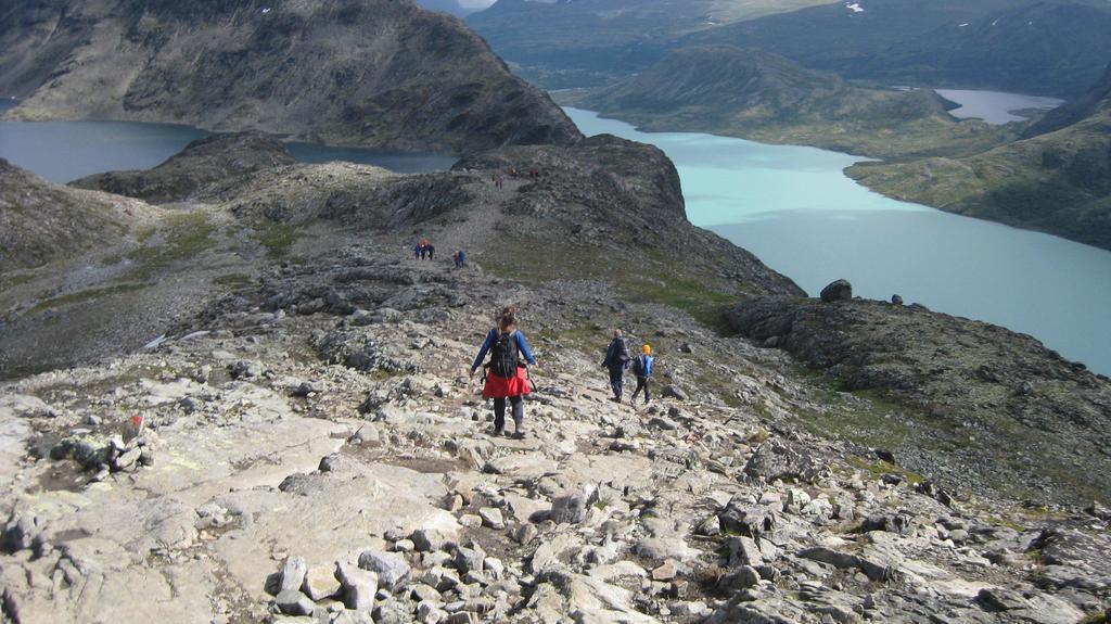 Jotunheimen Feriesenter Villa Heidal Dış mekan fotoğraf